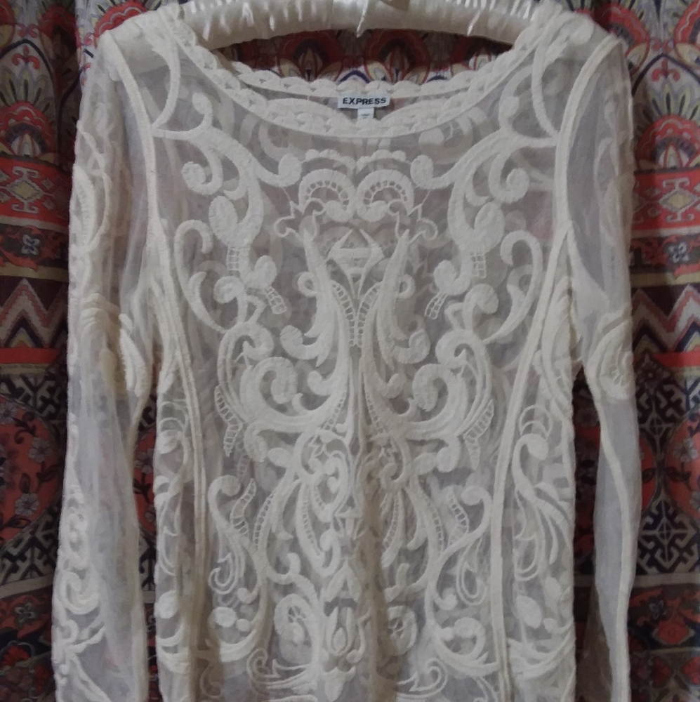 Express lace top with embroidery.
